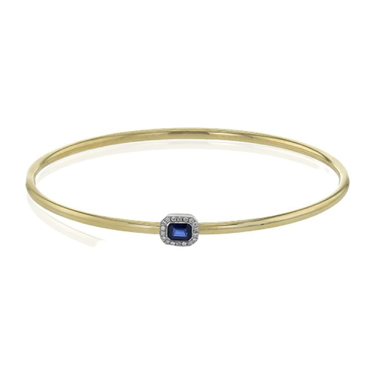 LB2494 COLOR BANGLE