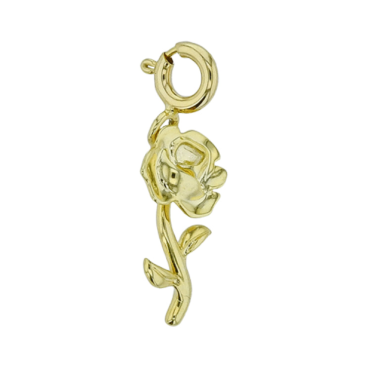 CH1000 PENDANT