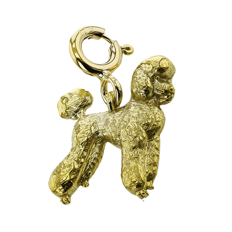 CH1010 PENDANT