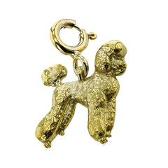 CH1010 PENDANT