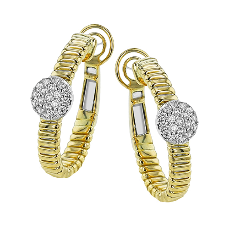 LE4890 HOOP EARRING