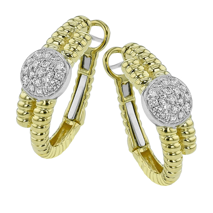 LE4869 HOOP EARRING